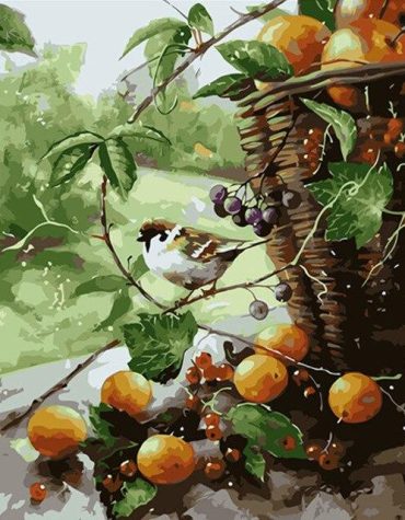 Grapefruit Bird Painting for Nature Lovers Paint By Numbers