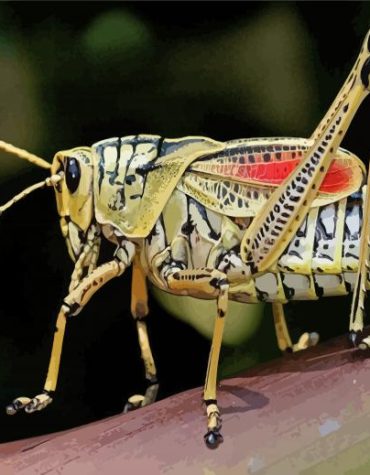 Green Grasshopper Paint By Numbers