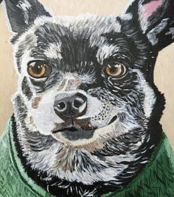 Gray Chihuahua Dogs Paint By Numbers