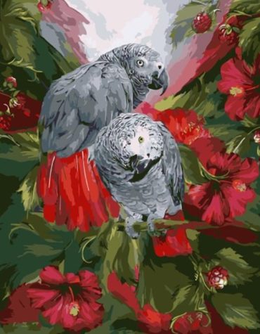 Gray Parrots with Red Flowers Paint By Numbers