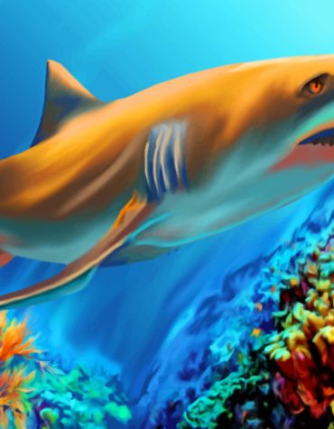 Great White Shark Ocean Paint By Numbers