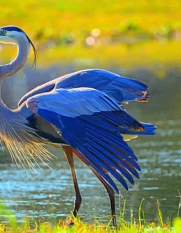 Great Blue Heron River Scene Paint By Numbers