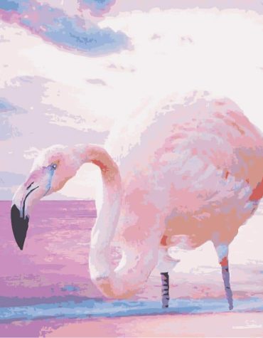 Pink Flamingo Beauty Paint By Numbers