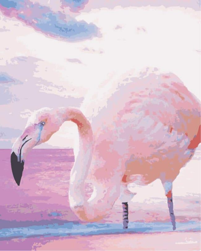 Pink Flamingo Beauty Paint By Numbers