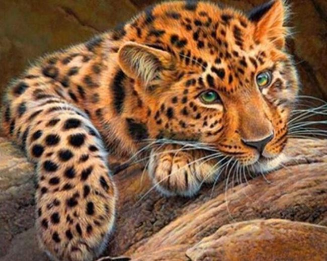 Green-Eyed Cheetah Paint By Numbers