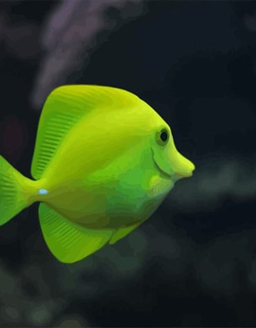 Beautiful Green Fish Sea Paint By Numbers