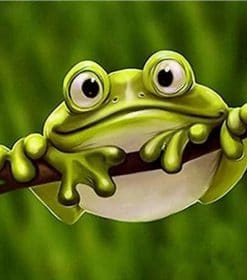 Green Frog Paint By Numbers Art Kit