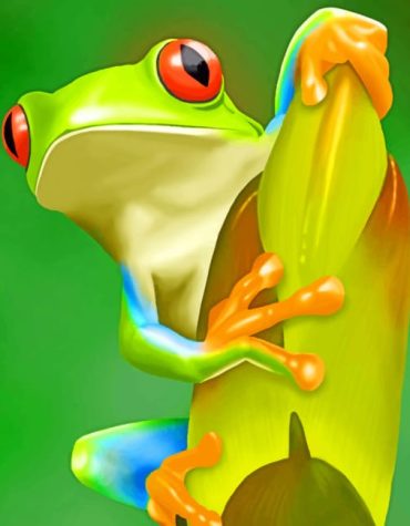 Green Frog Nature Paint By Numbers