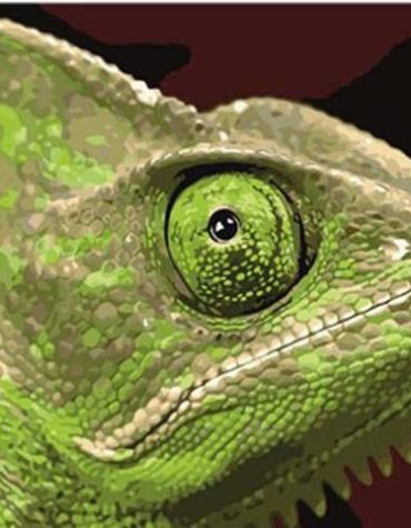 Chameleon Green Lizard Paint By Numbers