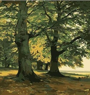 Forest Landscapes Paint By Numbers
