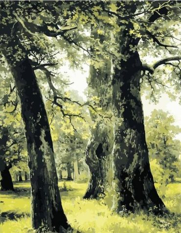 Green Forest Nature Paint By Numbers