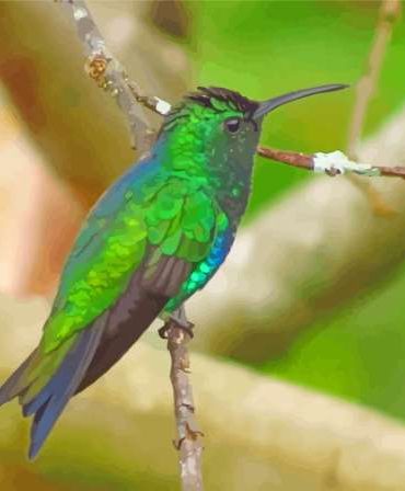 Green Hummingbird Delight Paint By Numbers