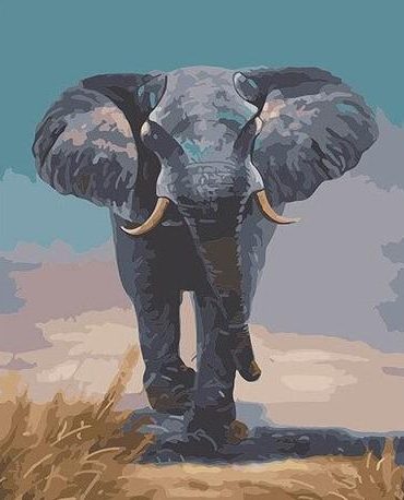 Gray Bull Elephant Paint By Numbers