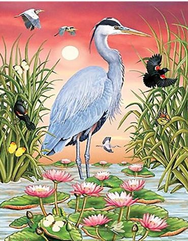 Grey Heron Birds Paint By Numbers