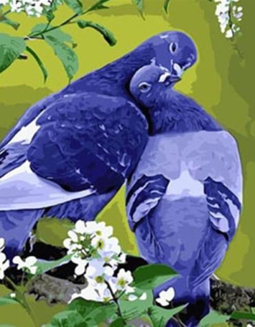Grey Pigeon Painting Kit Paint By Numbers