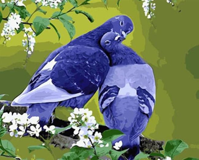 Grey Pigeon Painting Kit Paint By Numbers