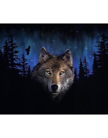 Grey Wolf Forest Scene Paint By Numbers