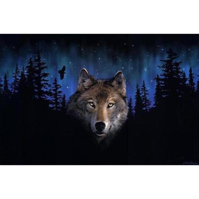 Grey Wolf Forest Scene Paint By Numbers