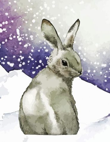 Grey Bunny Winter Scene Paint By Numbers