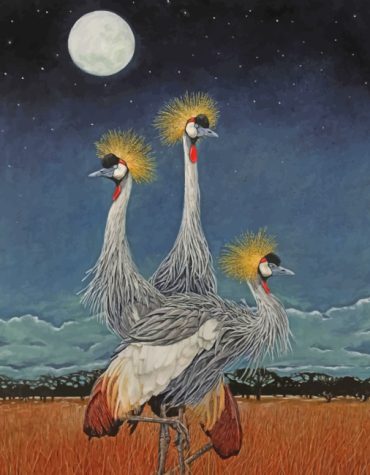 Grey Crowned Crane Painting Kit Paint By Numbers
