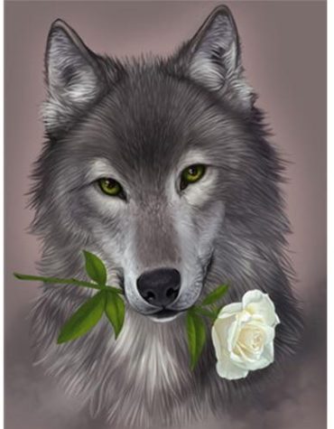 Grey Wolf and Roses Paint By Numbers
