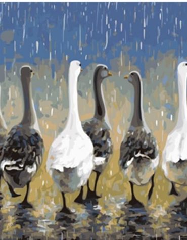 Duck Group Paint By Numbers