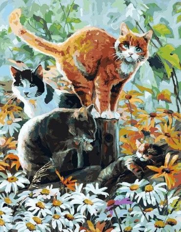 Group of Cats Paint By Numbers