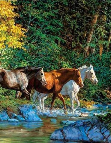 River Crossing Horses Paint By Numbers