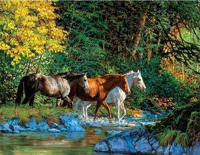 River Crossing Horses Paint By Numbers