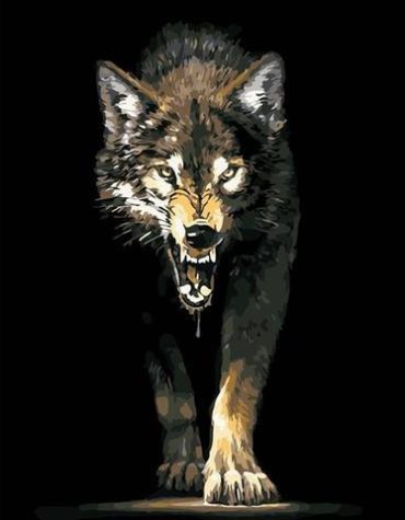 Majestic Wolf Paint By Numbers