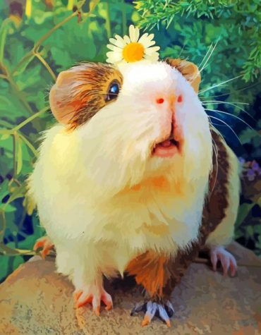 Guinea Pig Art Paint By Numbers