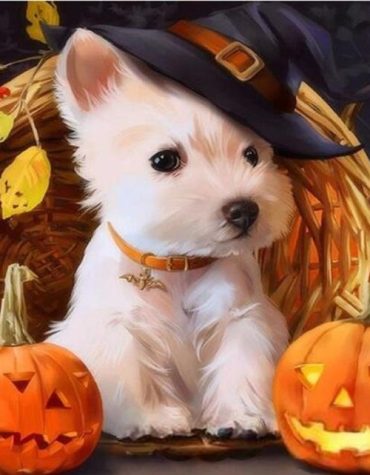 Halloween Dogs Paint By Numbers