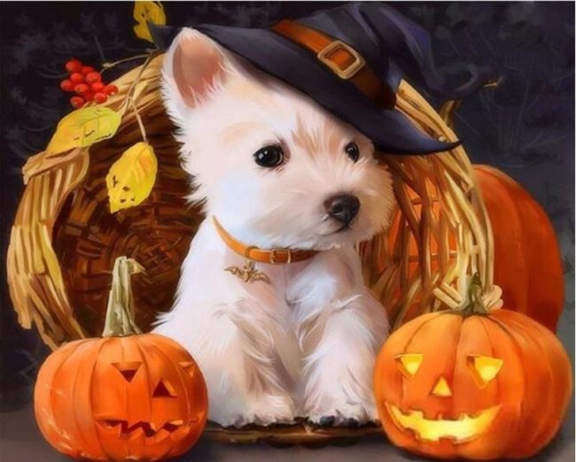 Halloween Dogs Paint By Numbers