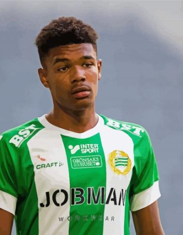 Hammarby Fotboll Player Art Paint By Numbers