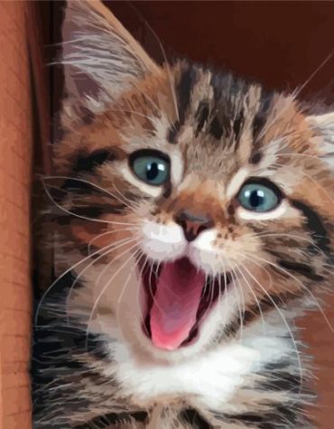 Happy Kitten Playful Cats Paint By Numbers