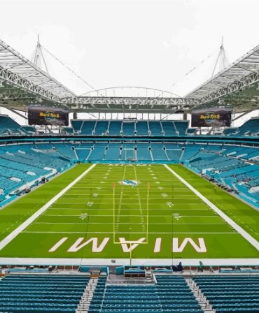Miami Hard Rock Stadium Paint By Numbers