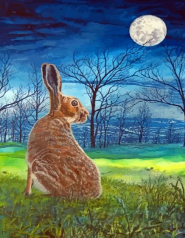 Enchanting Hare Moon Landscapes Paint By Numbers