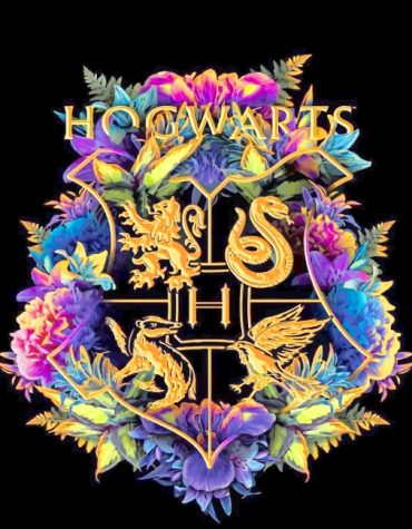 Hogwarts Movie Logos Paint By Numbers