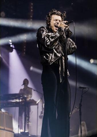 Harry Styles Musician Paint By Numbers