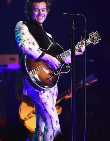 Harry Styles Celebrity Paint By Numbers