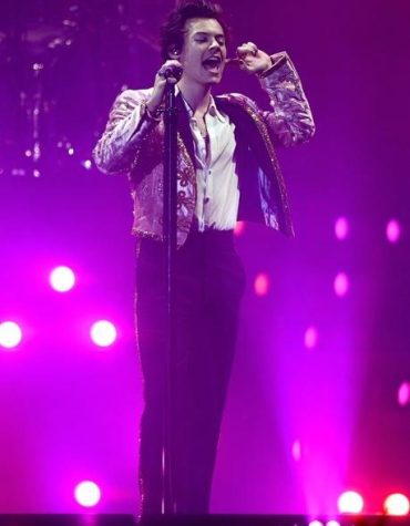 Harry Styles Celebrity Paint By Numbers