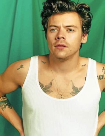 Harry Styles Singer Paint By Numbers