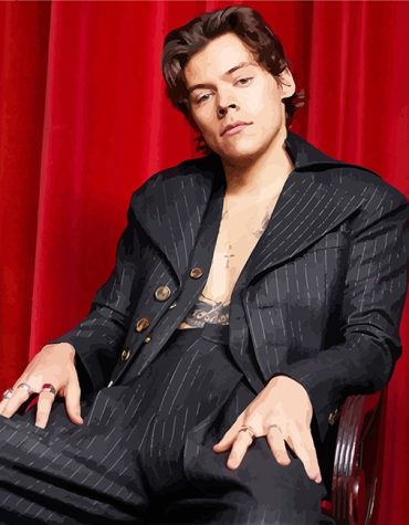 Harry Styles Inspired Paint By Numbers