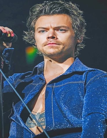 Harry Styles Celebrity Paint By Numbers