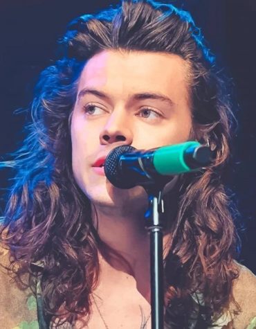 Harry Styles Music Magic Paint By Numbers