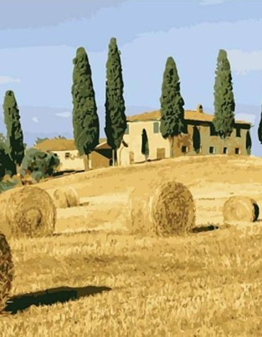 Country Life Harvest Paint By Numbers