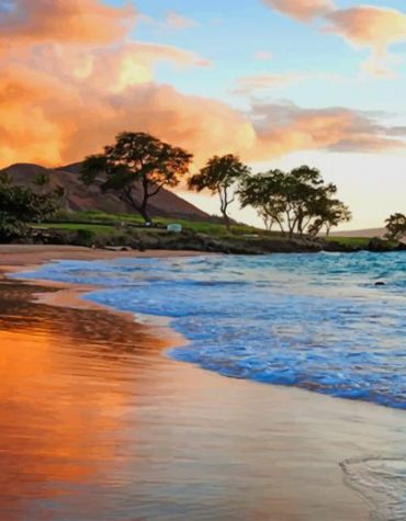 Hawaii Seaside Paint By Numbers