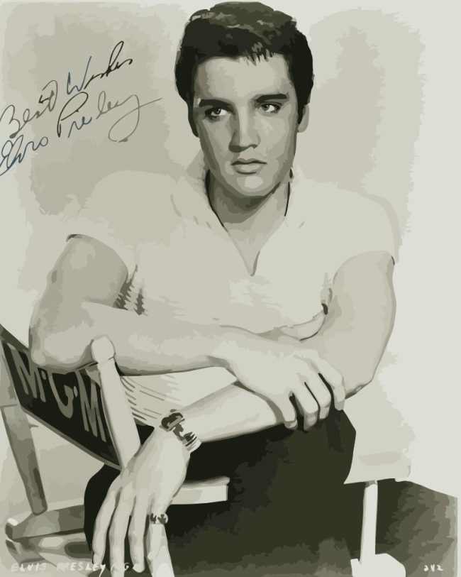 Young Elvis Presley Black and White Paint By Numbers