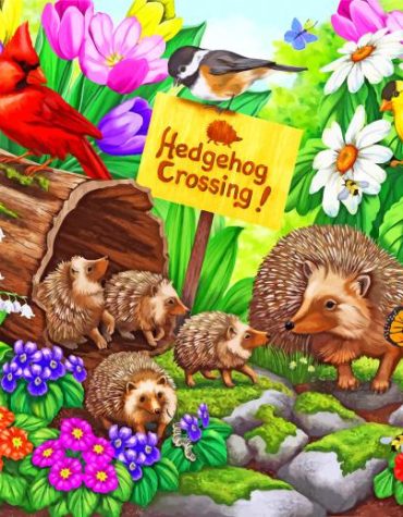 Adorable Hedgehog Paint By Numbers