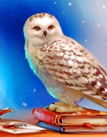 Harry Potter Hedwig Paint By Numbers
